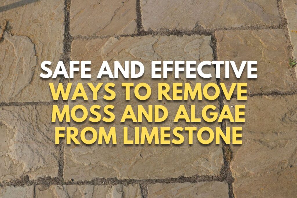 Safe and Effective Ways to Remove Moss and Algae From Limestone