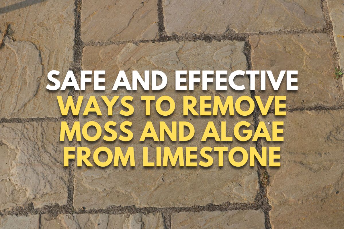 Safe and Effective Ways to Remove Moss and Algae From Limestone