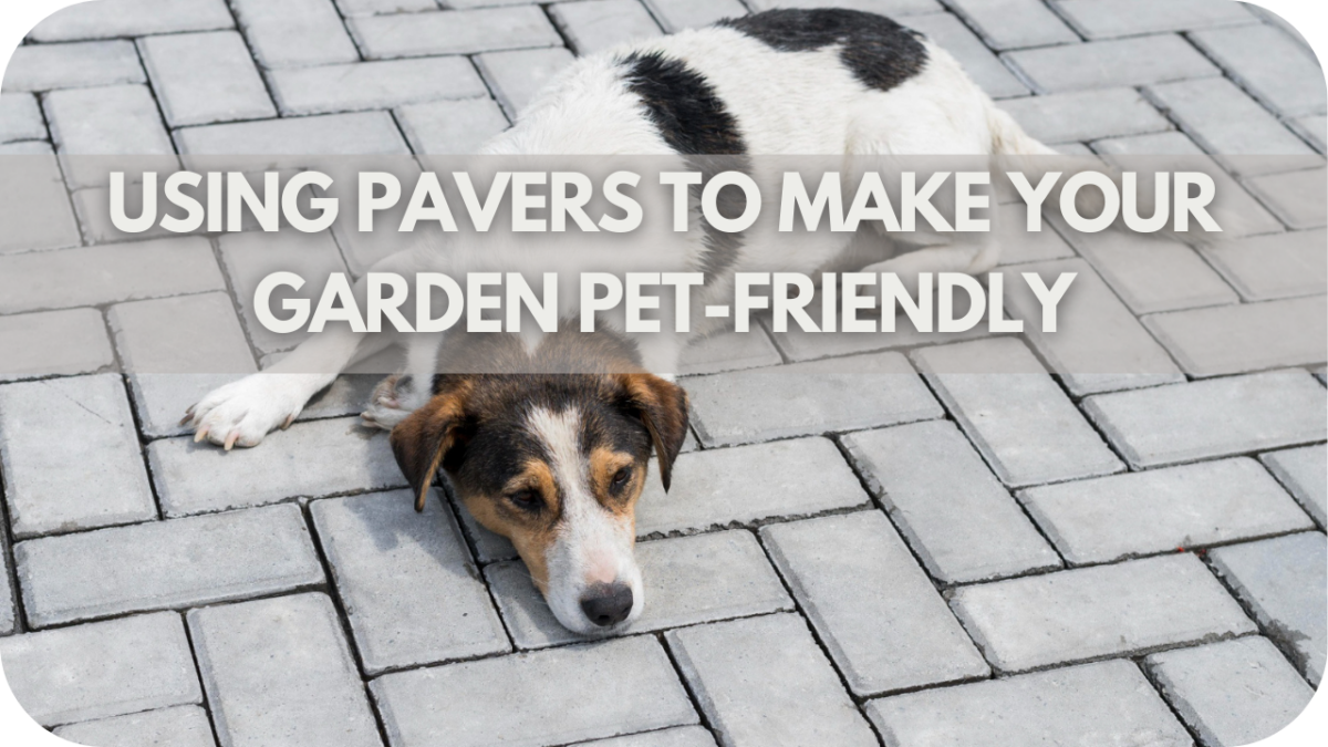 Using Pavers to Make Your Garden Pet-Friendly