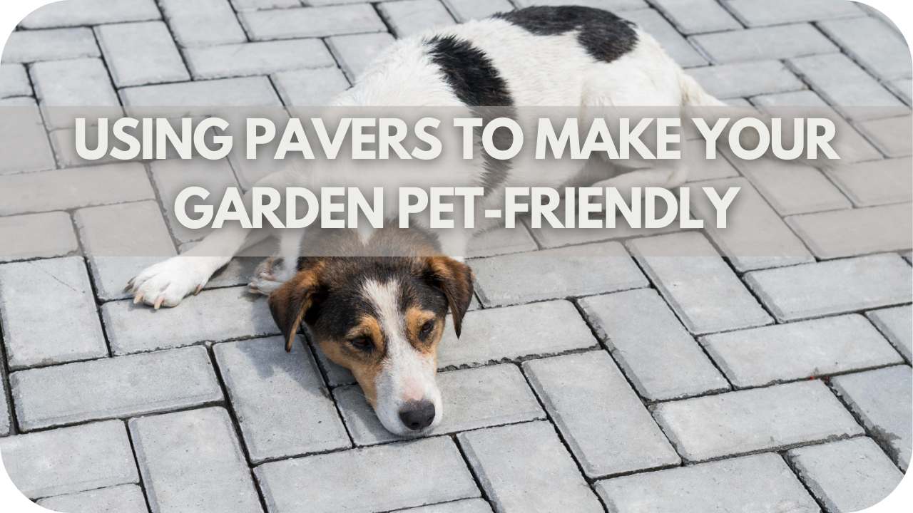 Using Pavers to Make Your Garden Pet-Friendly