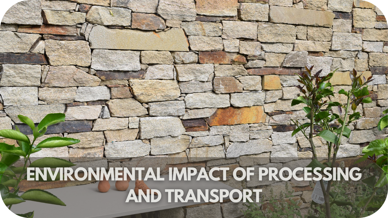 Environmental Impact of Processing and Transport

